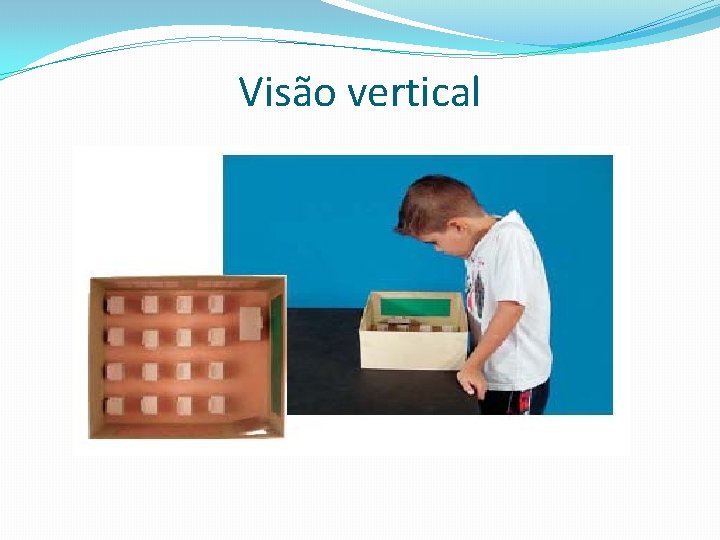 Visão vertical 