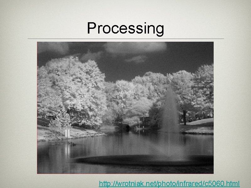 Processing http: //wrotniak. net/photo/infrared/c 5060. html 
