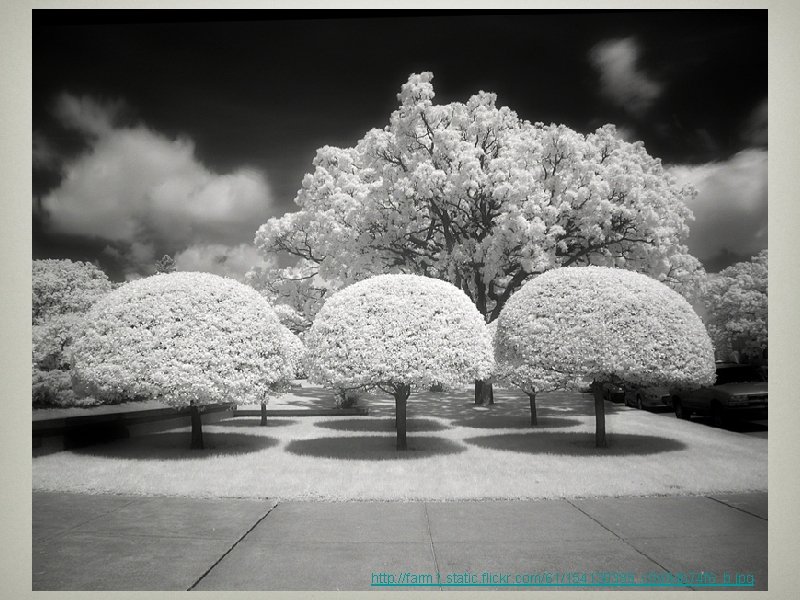 http: //farm 1. static. flickr. com/61/154130385_c 0694 b 74 f 6_b. jpg http: //farm 1. static. flickr. com/61/154130385_c 0694 b 74 f 6_b. jpg