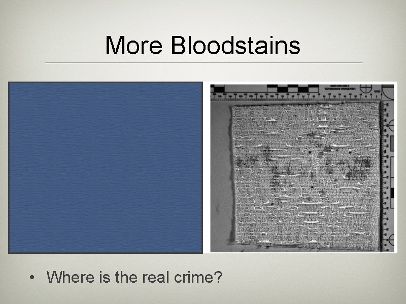 More Bloodstains • Where is the real crime? More Bloodstains • Where is the real crime?