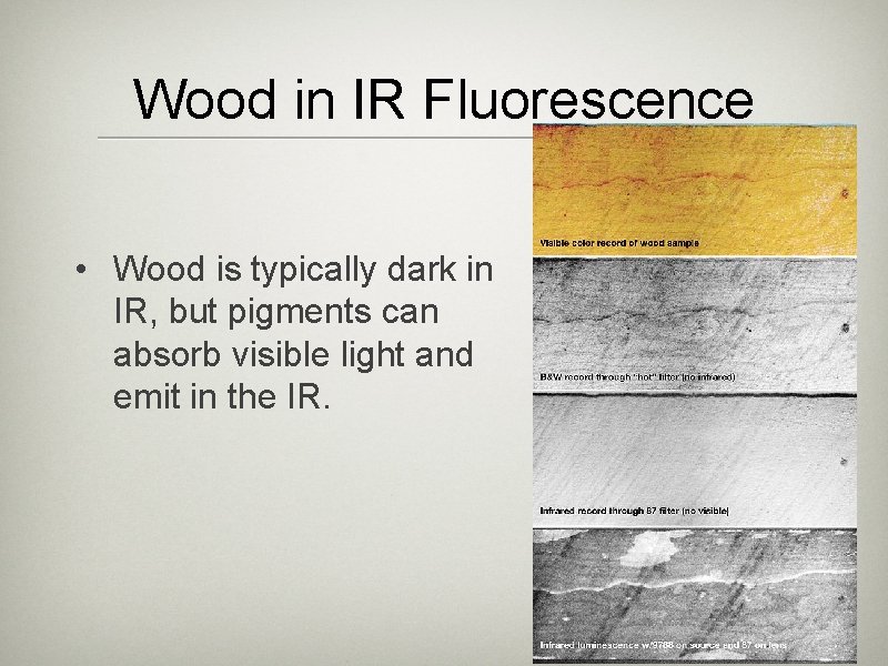 Wood in IR Fluorescence • Wood is typically dark in IR, but pigments can