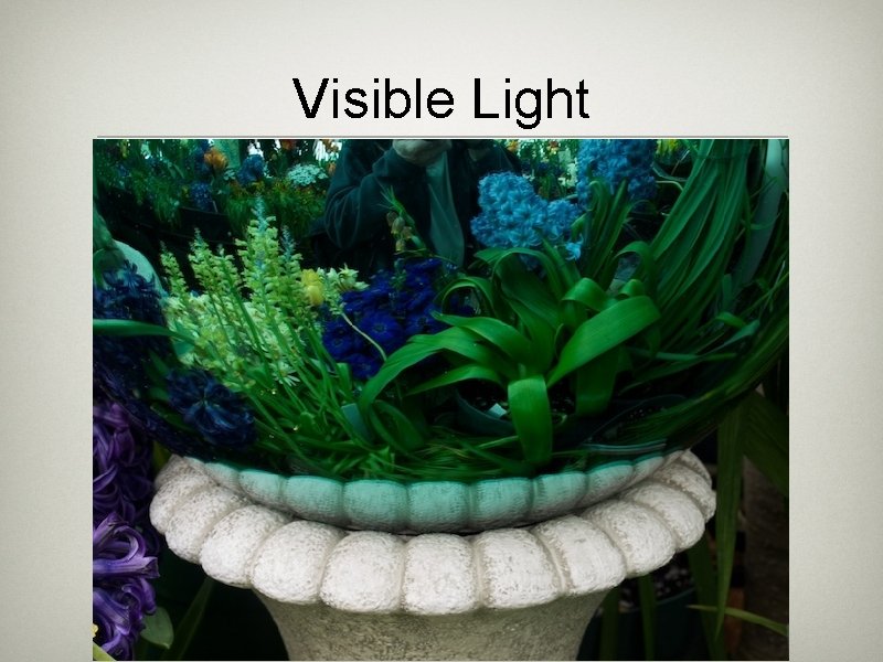 Visible Light Visible Light