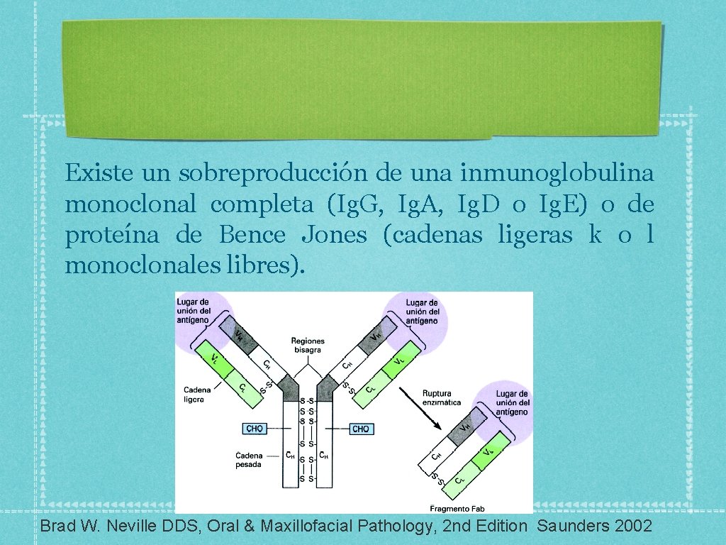 Existe un sobreproducción de una inmunoglobulina monoclonal completa (Ig. G, Ig. A, Ig. D