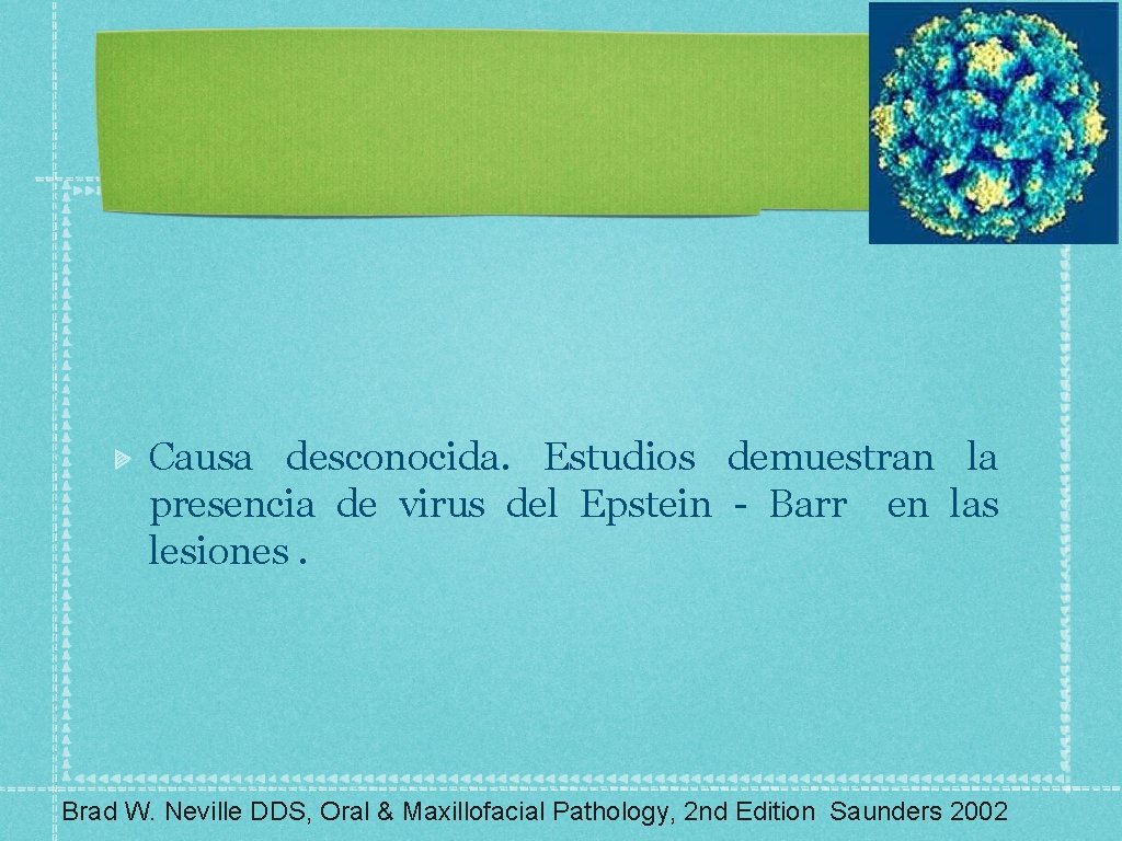 Causa desconocida. Estudios demuestran la presencia de virus del Epstein - Barr en las