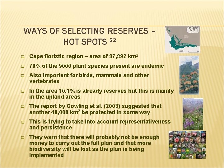 WAYS OF SELECTING RESERVES – HOT SPOTS 22 q Cape floristic region – area