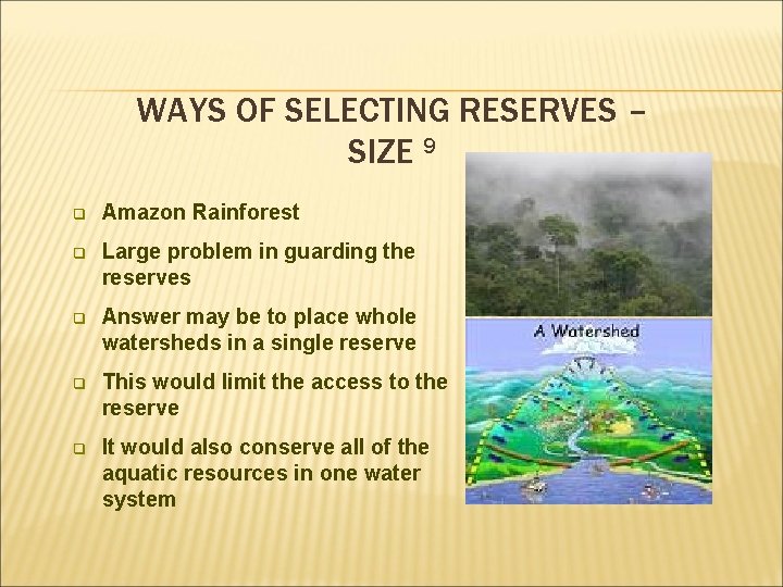 WAYS OF SELECTING RESERVES – SIZE 9 q Amazon Rainforest q Large problem in
