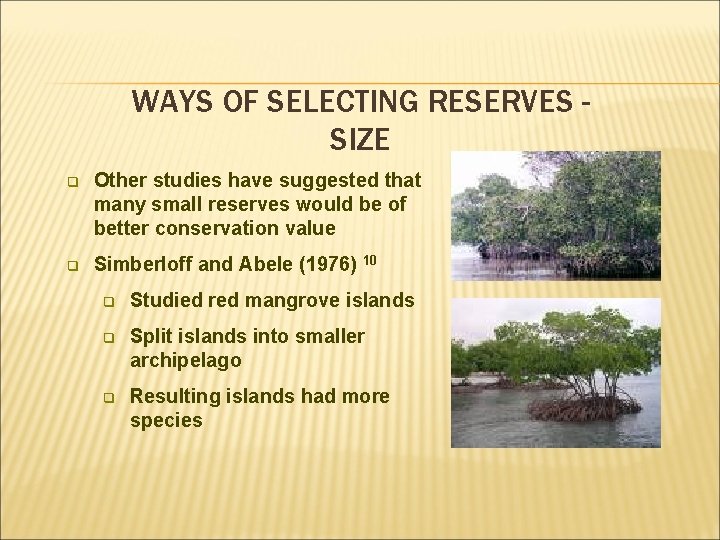 WAYS OF SELECTING RESERVES SIZE q Other studies have suggested that many small reserves