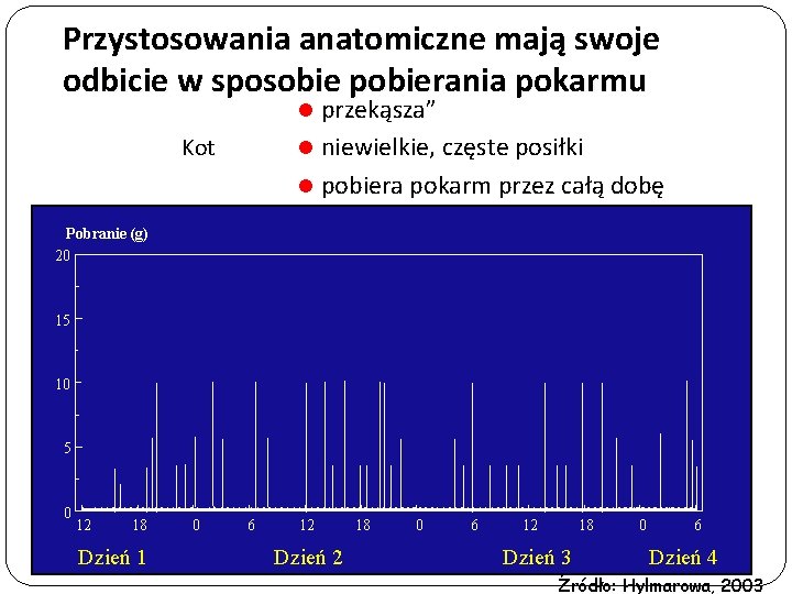 Przystosowania anatomiczne mają swoje odbicie w sposobie pobierania pokarmu przekąsza” l niewielkie, częste posiłki