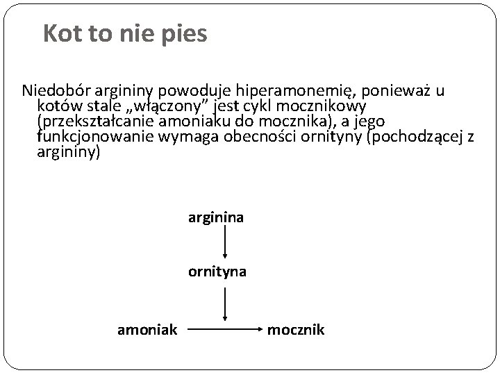 Kot to nie pies Niedobór argininy powoduje hiperamonemię, ponieważ u kotów stale „włączony” jest