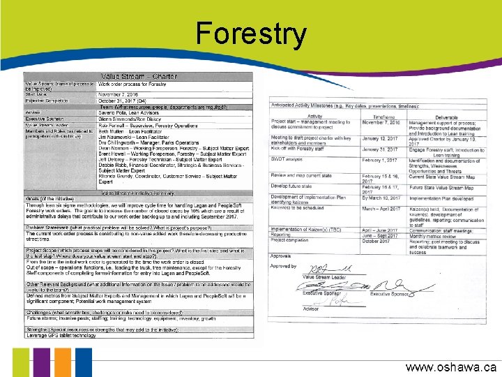 Forestry 