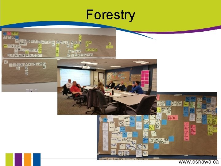 Forestry 