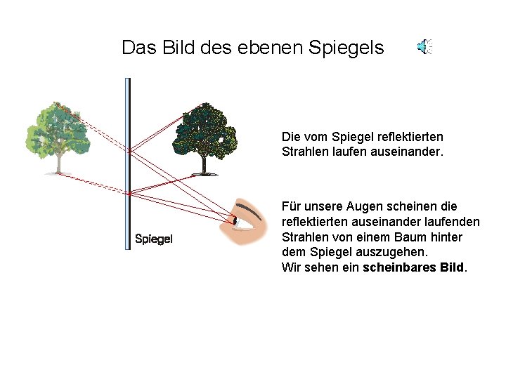 Das Bild des ebenen Spiegels Die vom Spiegel reflektierten Strahlen laufen auseinander. Für unsere