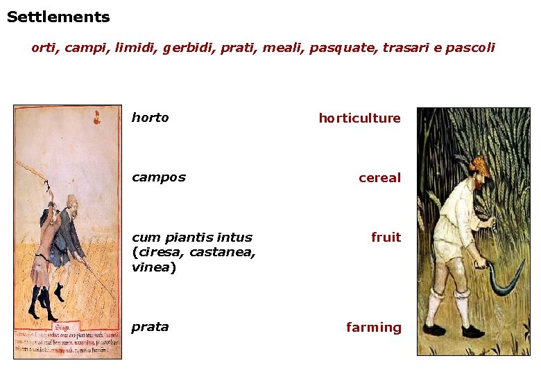 Settlements orti, campi, limidi, gerbidi, prati, meali, pasquate, trasari e pascoli horto campos cum