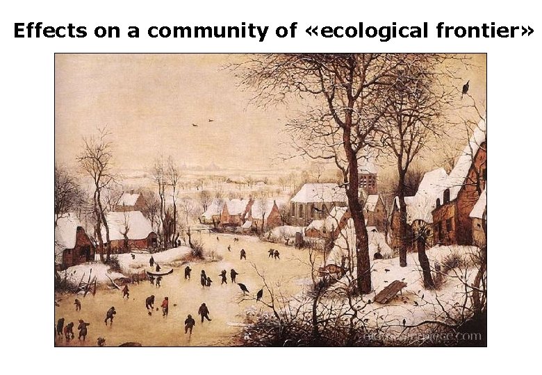 Effects on a community of «ecological frontier» 