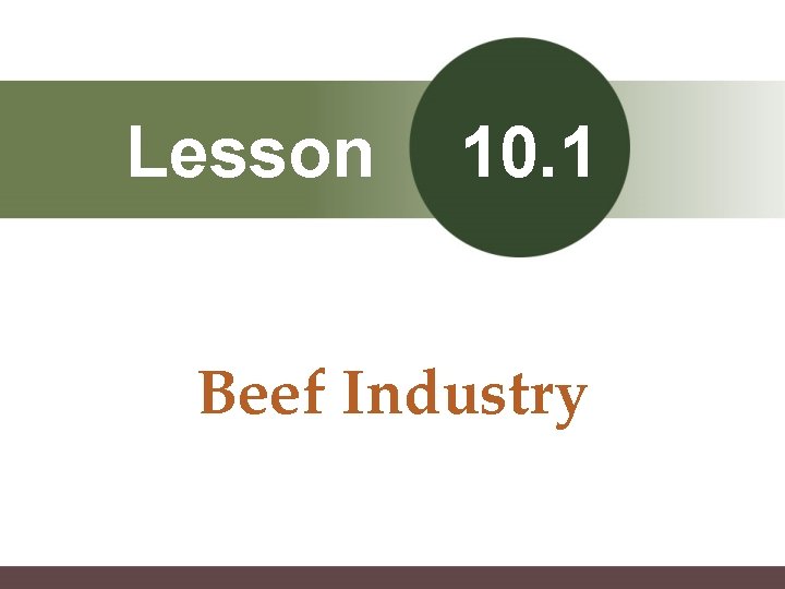Lesson 10. 1 Beef Industry 