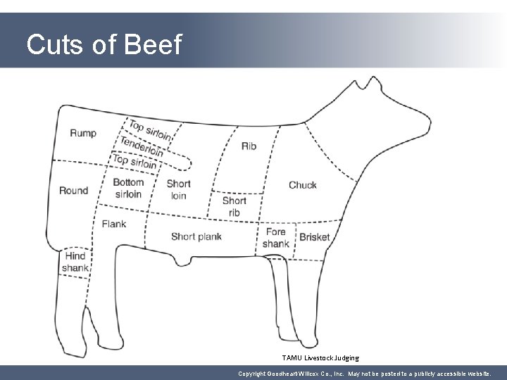 Cuts of Beef TAMU Livestock Judging Copyright Goodheart-Willcox Co. , Inc. May not be