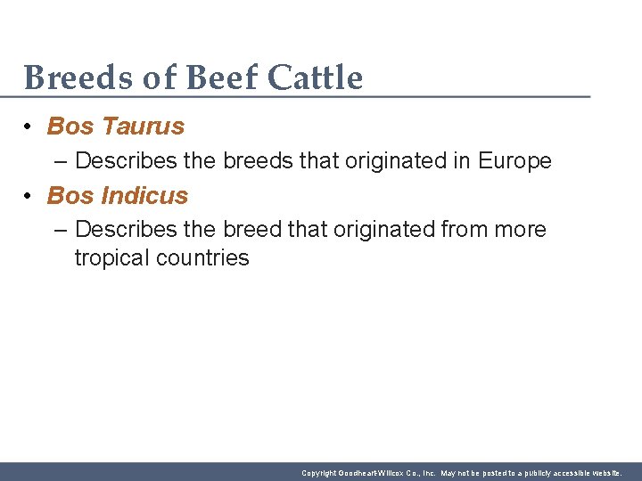 Breeds of Beef Cattle • Bos Taurus – Describes the breeds that originated in