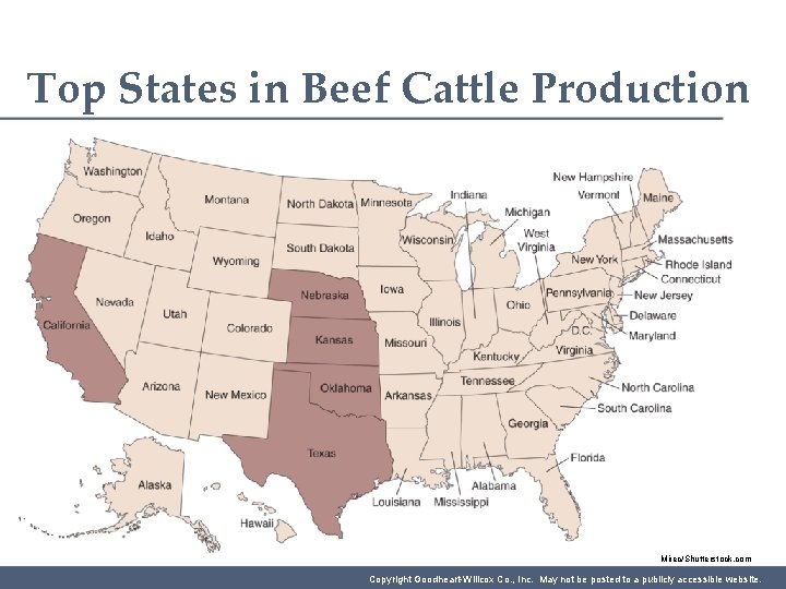 Top States in Beef Cattle Production Mirec/Shutterstock. com Copyright Goodheart-Willcox Co. , Inc. May