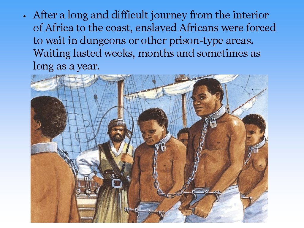  • After a long and difficult journey from the interior of Africa to