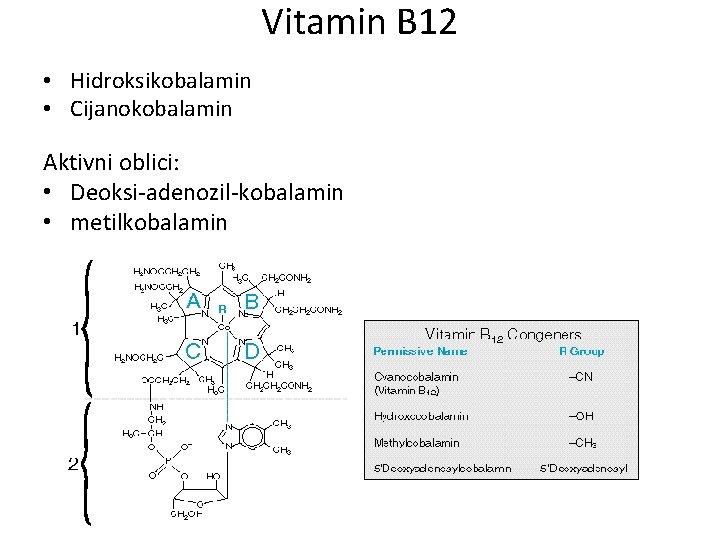 Vitamin B 12 • Hidroksikobalamin • Cijanokobalamin Aktivni oblici: • Deoksi-adenozil-kobalamin • metilkobalamin 