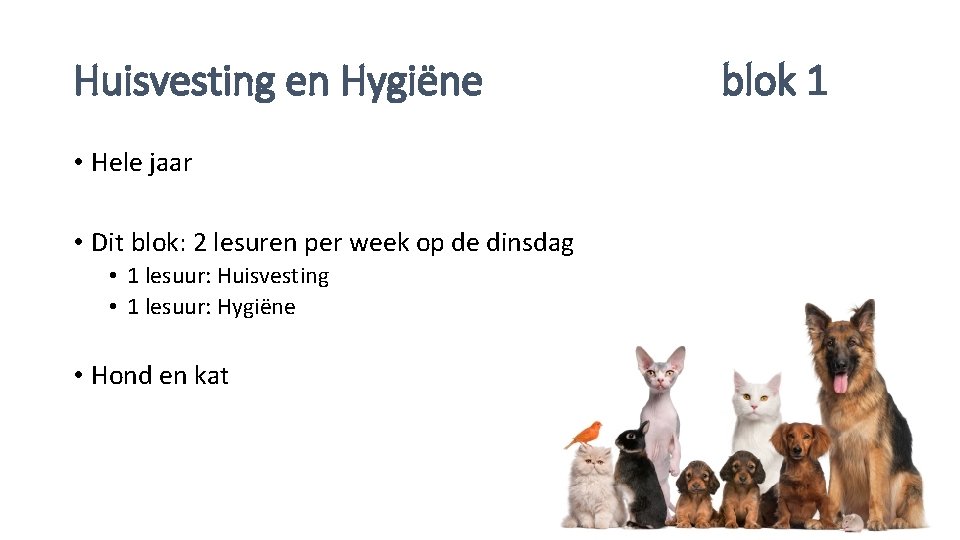 Huisvesting en Hygiëne • Hele jaar • Dit blok: 2 lesuren per week op