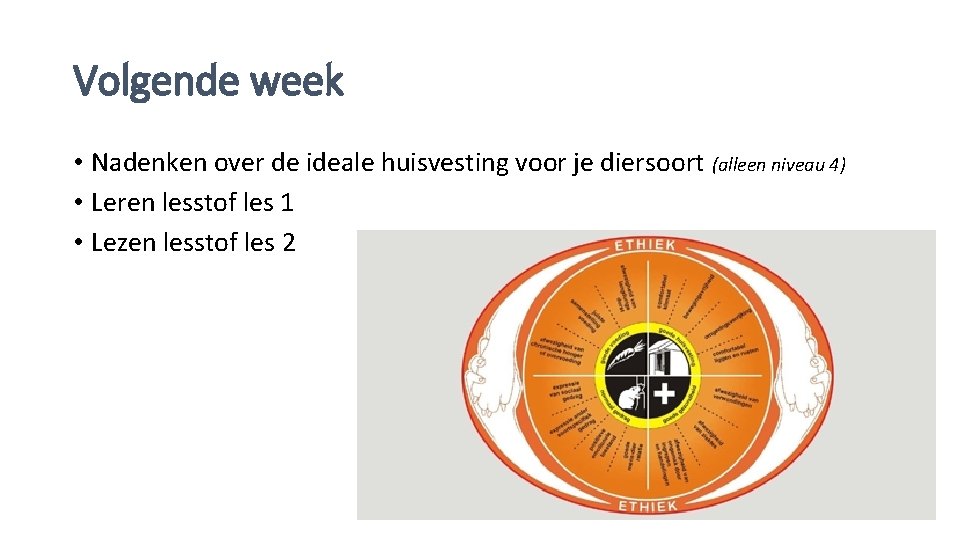 Volgende week • Nadenken over de ideale huisvesting voor je diersoort (alleen niveau 4)
