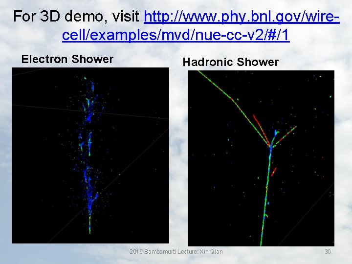 For 3 D demo, visit http: //www. phy. bnl. gov/wirecell/examples/mvd/nue-cc-v 2/#/1 Electron Shower Hadronic