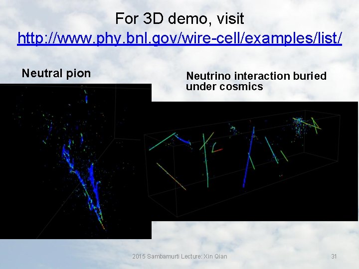 For 3 D demo, visit http: //www. phy. bnl. gov/wire-cell/examples/list/ Neutral pion Neutrino interaction