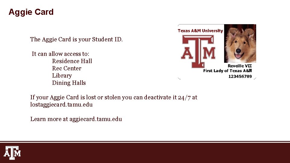 Aggie Card The Aggie Card is your Student ID. It can allow access to: