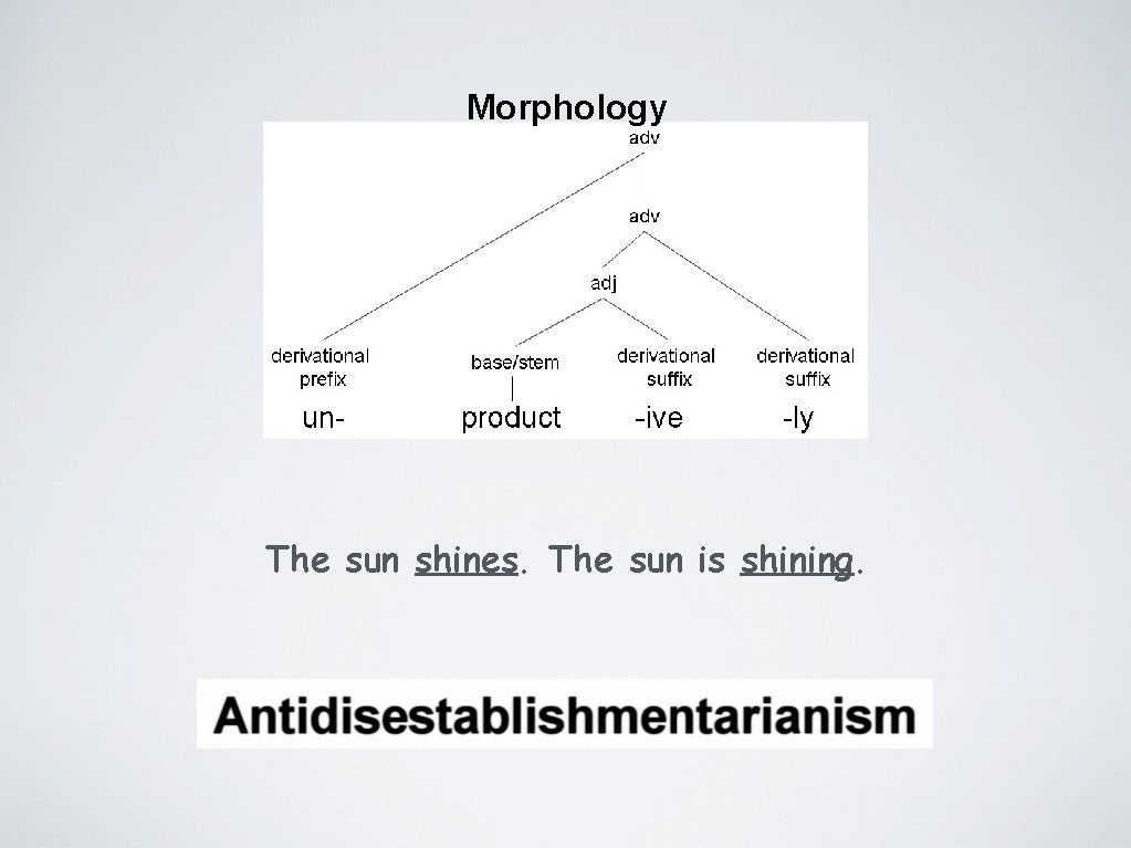 Morphology The sun shines. The sun is shining. 