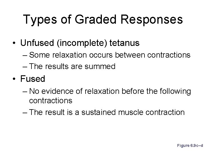 Types of Graded Responses • Unfused (incomplete) tetanus – Some relaxation occurs between contractions