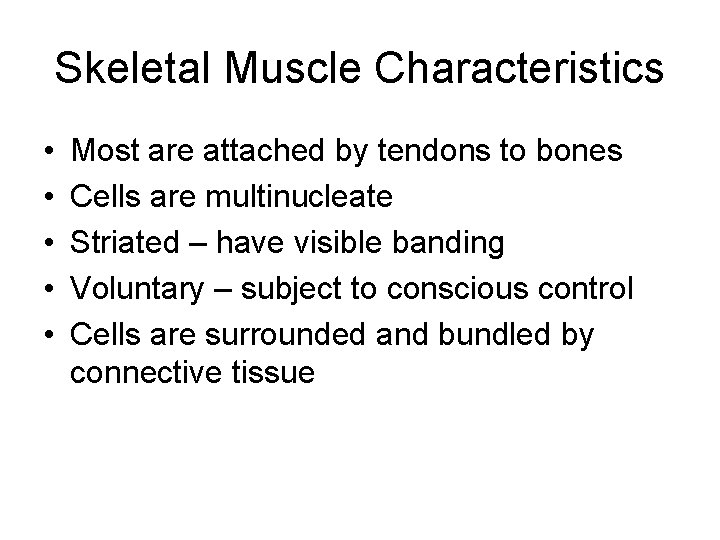 Skeletal Muscle Characteristics • • • Most are attached by tendons to bones Cells