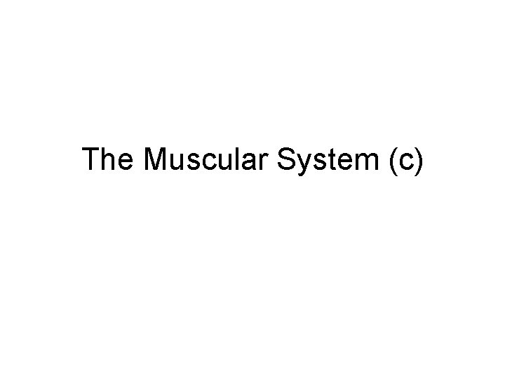 The Muscular System (c) 