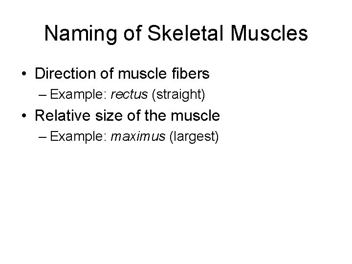 Naming of Skeletal Muscles • Direction of muscle fibers – Example: rectus (straight) •