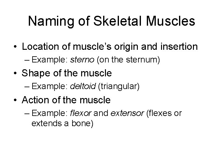 Naming of Skeletal Muscles • Location of muscle’s origin and insertion – Example: sterno