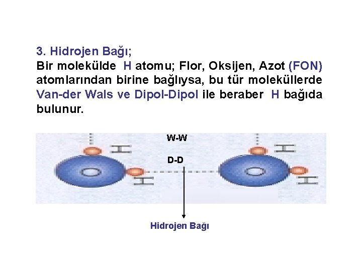 3. Hidrojen Bağı; Bir molekülde H atomu; Flor, Oksijen, Azot (FON) atomlarından birine bağlıysa,