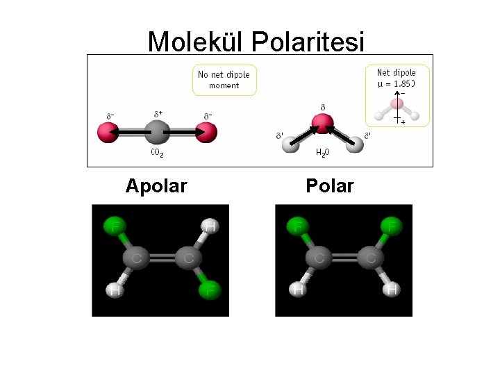 Molekül Polaritesi Apolar Polar 