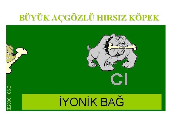 BÜYÜK AÇGÖZLÜ HIRSIZ KÖPEK İYONİK BAĞ 