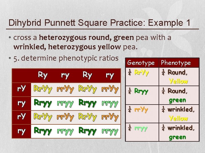 Dihybrid Punnett Square Practice: Example 1 • cross a heterozygous round, green pea with
