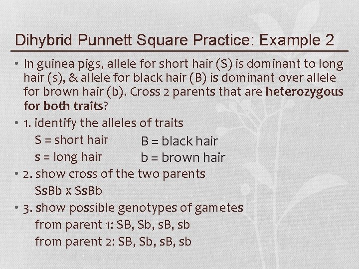 Dihybrid Punnett Square Practice: Example 2 • In guinea pigs, allele for short hair