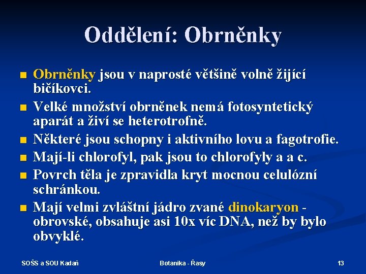 Oddělení: Obrněnky n n n Obrněnky jsou v naprosté většině volně žijící bičíkovci. Velké