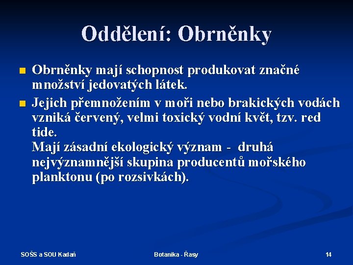 Oddělení: Obrněnky n n Obrněnky mají schopnost produkovat značné množství jedovatých látek. Jejich přemnožením