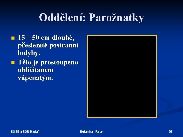 Oddělení: Parožnatky n n 15 – 50 cm dlouhé, přeslenité postranní lodyhy. Tělo je