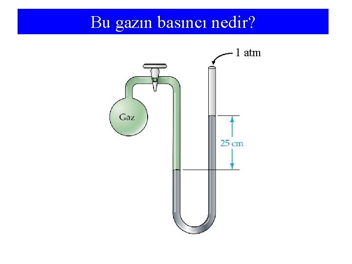 Bu gazın basıncı nedir? 1 atm 