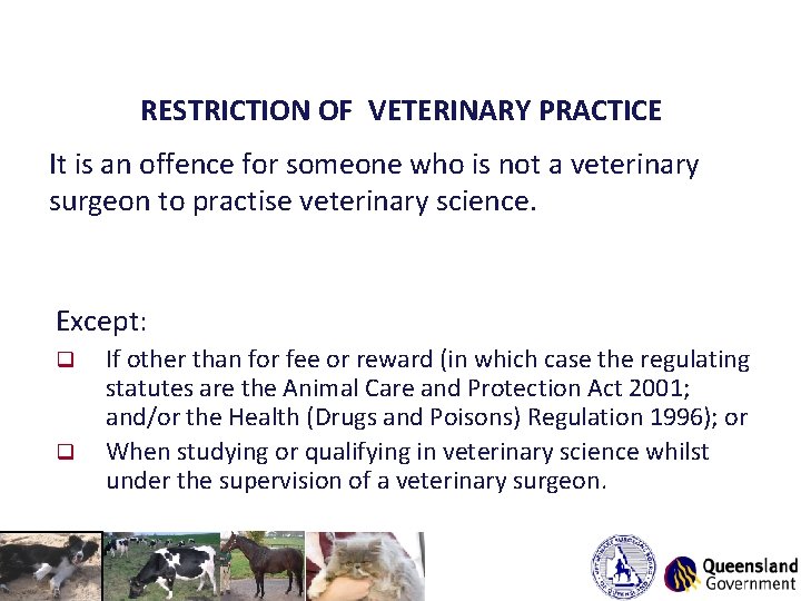 RESTRICTION OF VETERINARY PRACTICE It is an offence for someone who is not a