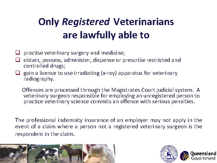 Only Registered Veterinarians are lawfully able to q practise veterinary surgery and medicine; q