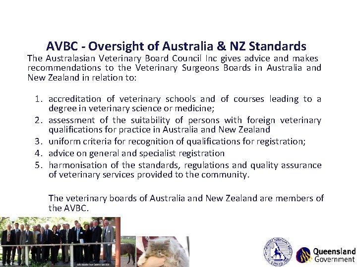 AVBC - Oversight of Australia & NZ Standards The Australasian Veterinary Board Council Inc