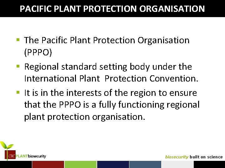 PACIFIC PLANT PROTECTION ORGANISATION § The Pacific Plant Protection Organisation (PPPO) § Regional standard