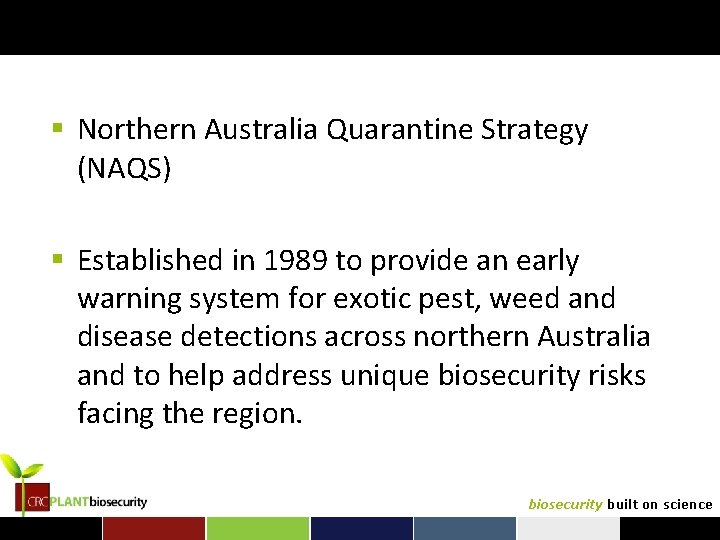 § Northern Australia Quarantine Strategy (NAQS) § Established in 1989 to provide an early