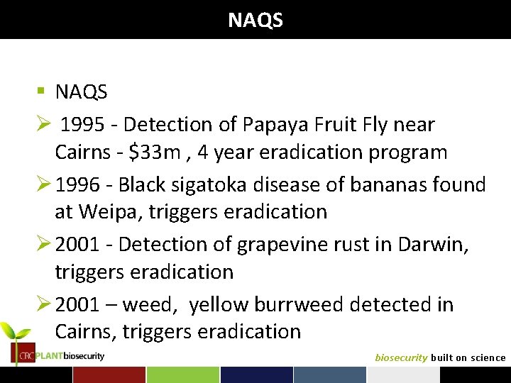 NAQS § NAQS Ø 1995 - Detection of Papaya Fruit Fly near Cairns -